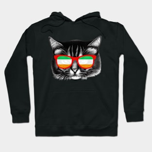 Irish Glasses Cat Hoodie